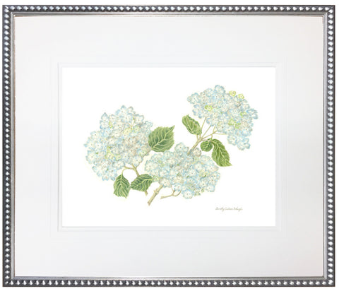 Hydrangea Print II