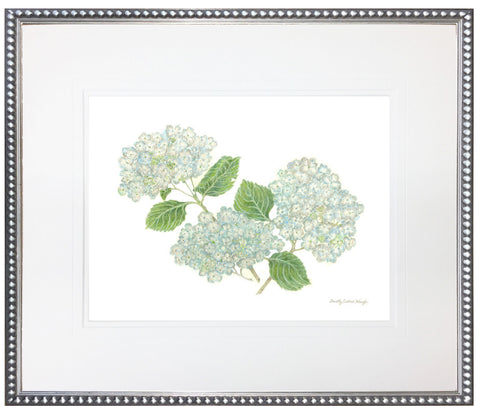 Hydrangea Print I